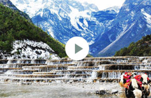 2017年九游会J9科技团建-云南之旅