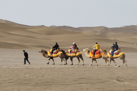 九游会·J9(中国游)官方网站-真人游戏第一品牌